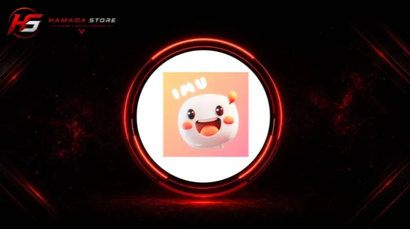 IMU